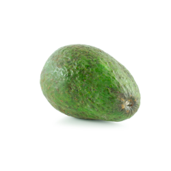 Avocat 