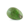 Avocat 