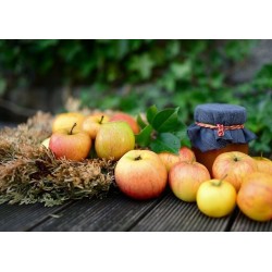 1 kg de Pommes CRIPPS RED 
