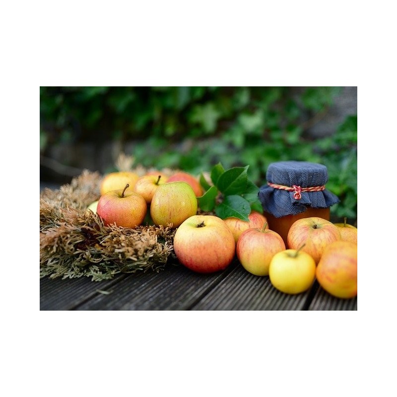 1 kg de Pommes CRIPPS RED 