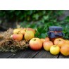 1 kg de Pommes CRIPPS RED 