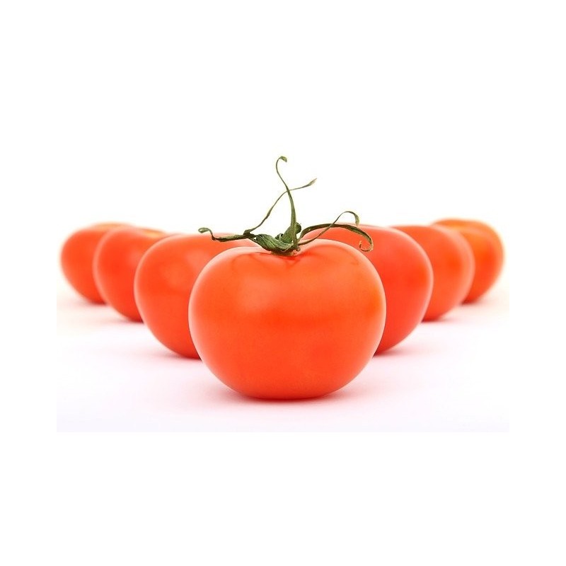env. 1kg de tomates