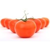 env. 1kg de tomates