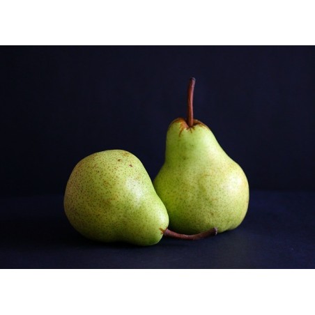 1 kg de poires, variété selon arrivage
