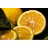 1kg de citrons jaunes